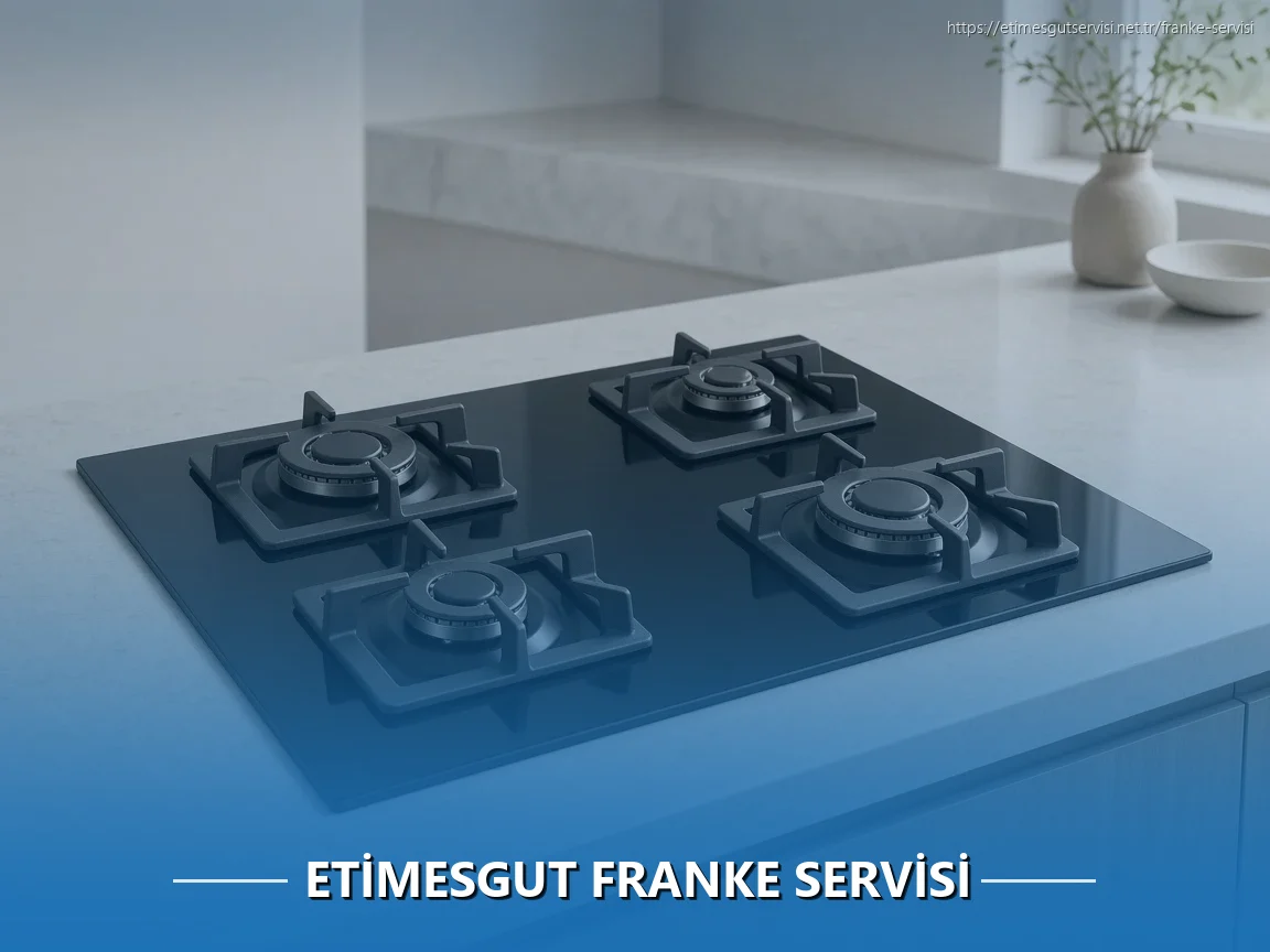 Etimesgut Franke Servisi