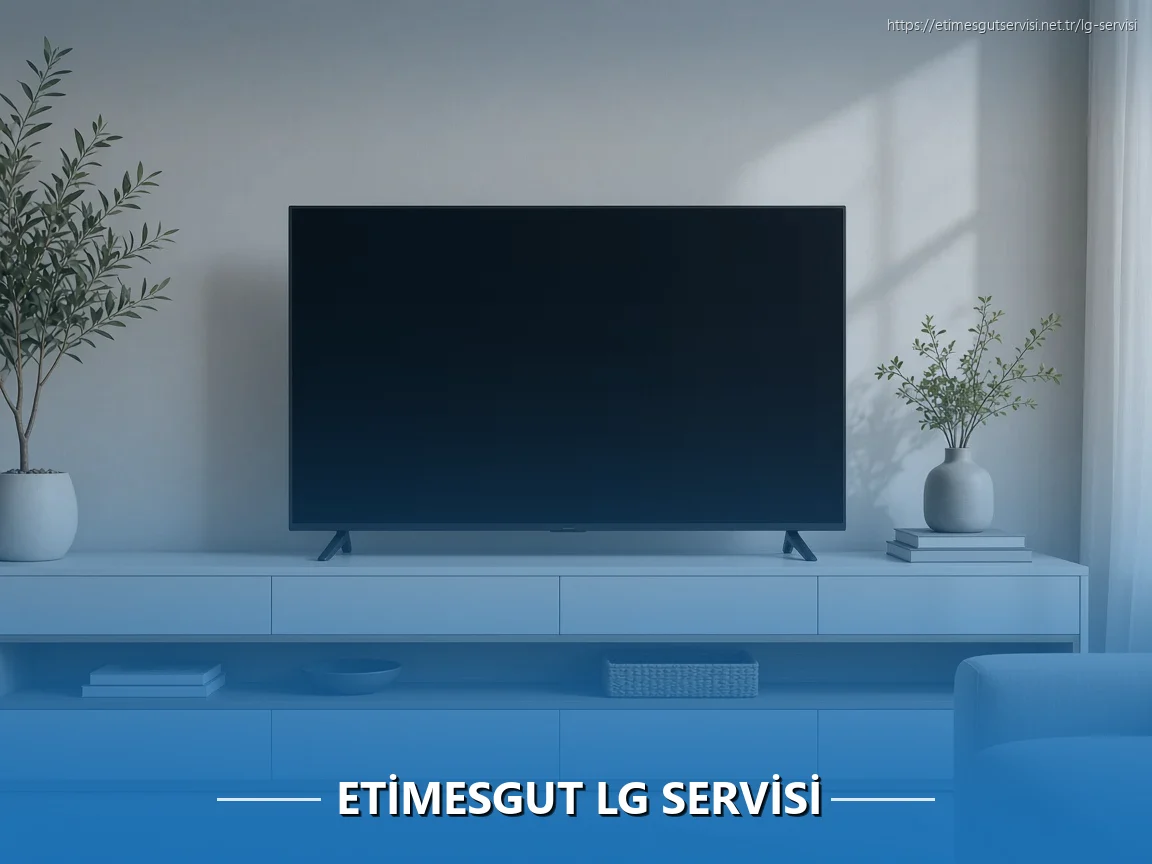Etimesgut LG Servisi