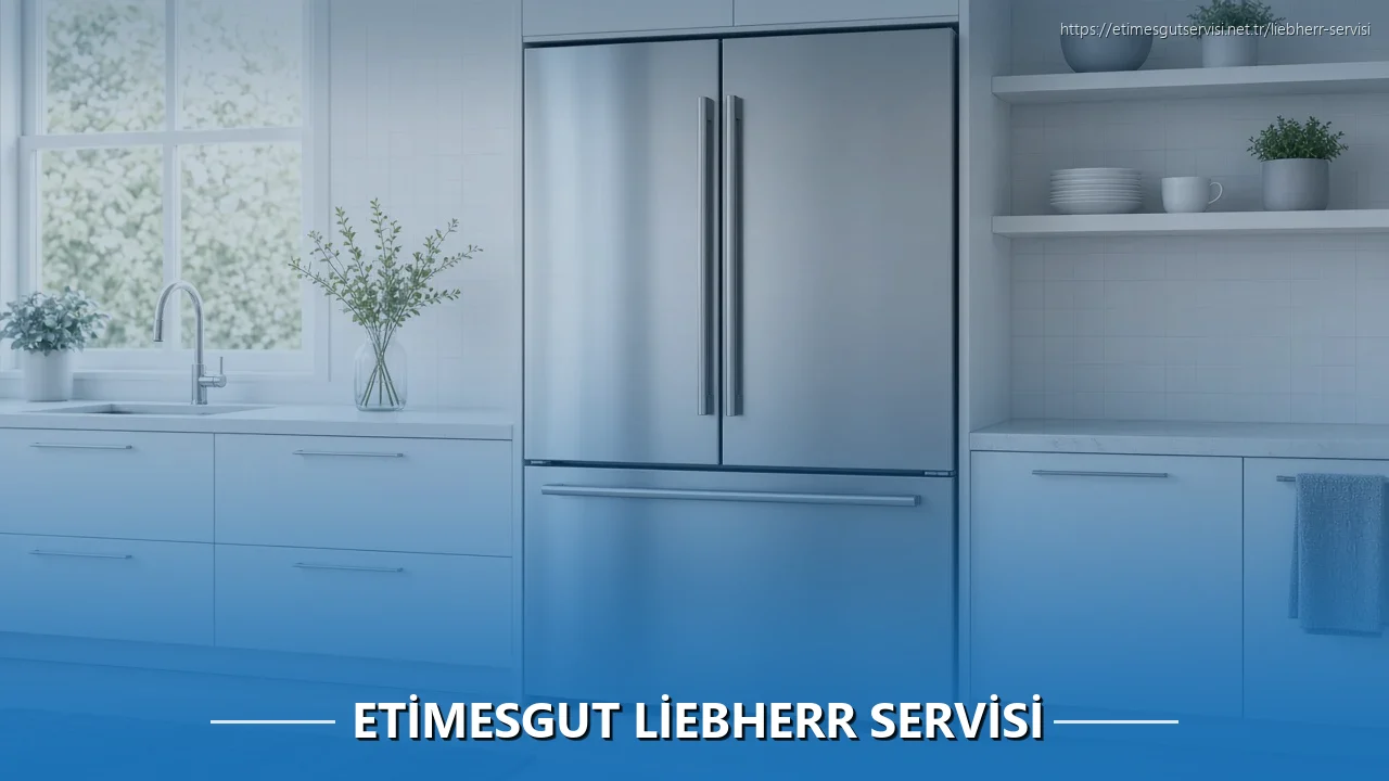 Etimesgut Liebherr Servisi